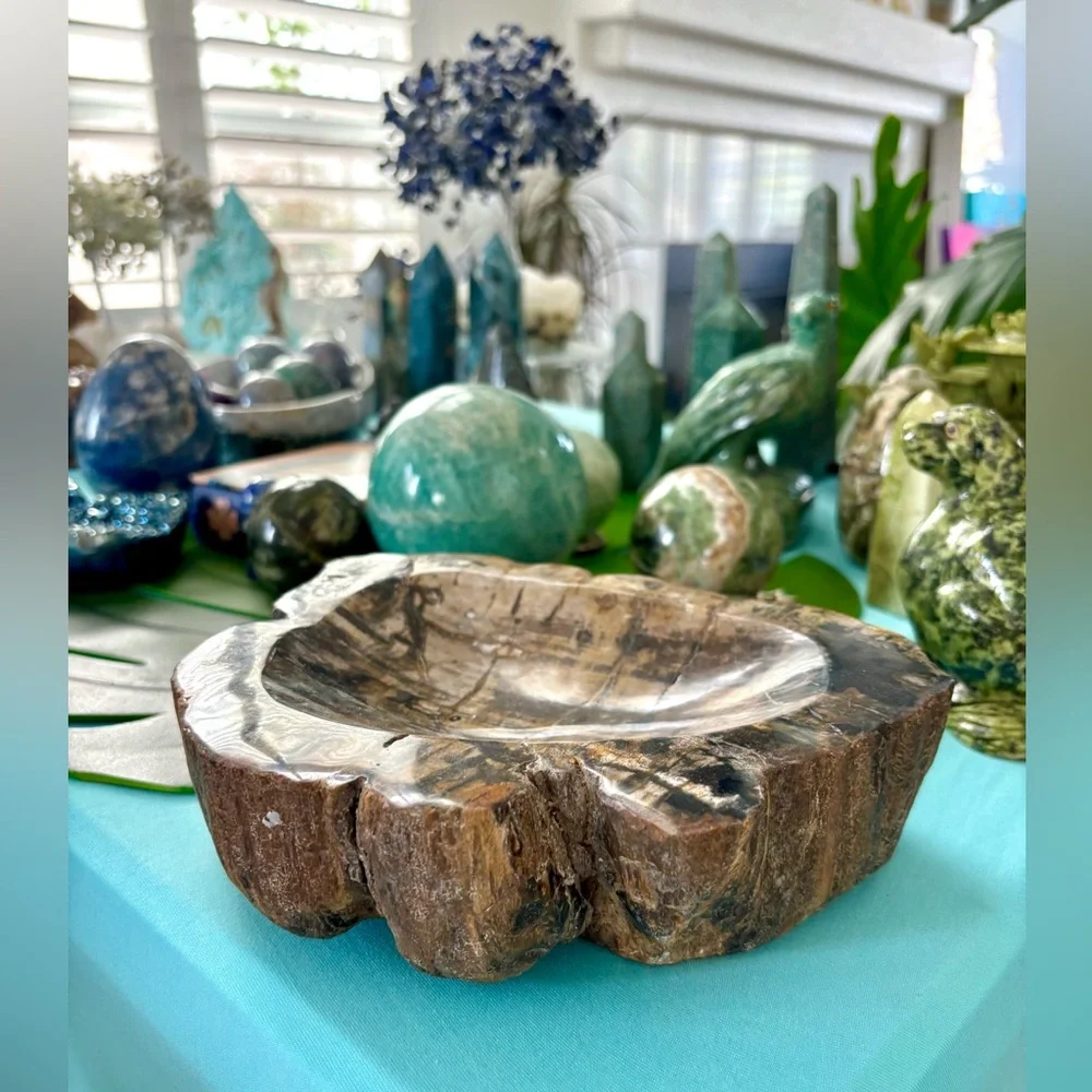 Petrified Wood bowl from Indonesia - Picture 3 of 9